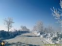 Filename=CIMG4761sw.jpg
Filesize=146KiB
Dimensions=1024x768
Date added=22/Feb/2014 CIMG4761sw.jpg