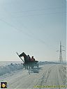 Filename=CIMG4766sw.jpg
Filesize=82KiB
Dimensions=768x1024
Date added=22/Feb/2014 CIMG4766sw.jpg