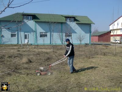 One Man went to Mow
Constantin Punga prepares the warehouse grounds.
Keywords: Mar14;AN-Warehouse;Dealu.Mare;Warehouses;