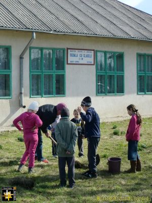 Tree Planting at Balinti School
Keywords: Mar14