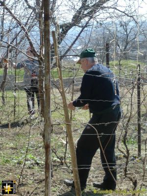 Preparing for Spring
Keywords: Mar14