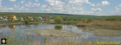 "Low Tide"
The water level is rather low for this time of year
Keywords: Apr14;scenery