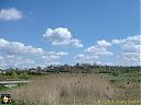 Filename=CIMG5546sw.jpg
Filesize=124KiB
Dimensions=1024x768
Date added=22/Apr/2014 CIMG5546sw.jpg