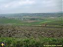 Filename=CIMG5548sw.jpg
Filesize=181KiB
Dimensions=1024x768
Date added=11/May/2014 CIMG5548sw.jpg