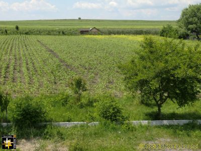 Land at Warehouse
