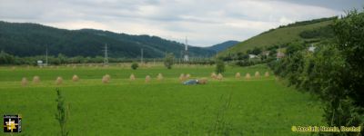 Bucovina
Haymaking
Keywords: jun14;scenery