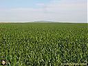 Filename=CIMG5724sw.jpg
Filesize=210KiB
Dimensions=1024x768
Date added=24/Jul/2014 CIMG5724sw.jpg