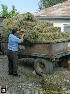 Bringing in the Harvest
This trailer was donated in 1994 (when it was already old) and it is still in regular use.
Keywords: Aug14;pub1409s