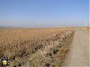 Filename=SF1411n054sw.jpg
Filesize=102KiB
Dimensions=768x576
Date added=12/Oct/2015 SF1411n054sw.jpg