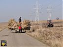 Filename=SF1411n058sw.jpg
Filesize=96KiB
Dimensions=768x576
Date added=12/Oct/2015 SF1411n058sw.jpg