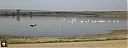 Filename=CIMG0538pw.jpg
Filesize=55KiB
Dimensions=1024x384
Date added=01/May/2015 CIMG0538pw.jpg