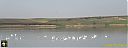 Filename=CIMG0541pw.jpg
Filesize=41KiB
Dimensions=1024x384
Date added=01/May/2015 CIMG0541pw.jpg