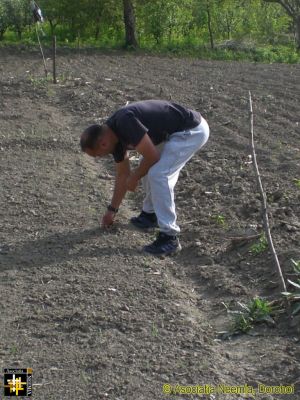 Tending the Garden
The site for the new boys' house includes a garden plot which will provide vegetables for the kitchen in due course.
Keywords: May15;Casa.Neemia;pub1506j