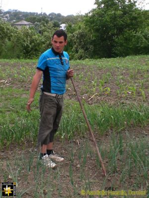 Weeding the Vegetable Garden
Keywords: May15;Casa.Neemia;pub1506j