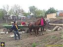 Filename=20150502_125809s.jpg
Filesize=231KiB
Dimensions=1024x768
Date added=10/May/2015 20150502_125809s.jpg