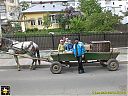 Filename=CIMG0585sw.jpg
Filesize=235KiB
Dimensions=1024x768
Date added=12/May/2015 CIMG0585sw.jpg