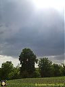 Filename=CIMG0653sw.jpg
Filesize=113KiB
Dimensions=768x1024
Date added=28/May/2015 CIMG0653sw.jpg
