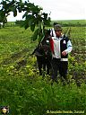 Filename=CIMG0657sw.jpg
Filesize=162KiB
Dimensions=768x1024
Date added=28/May/2015 CIMG0657sw.jpg