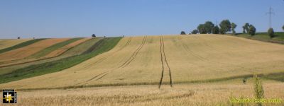 Harvest in Prospect
Keywords: Jun15;scenery