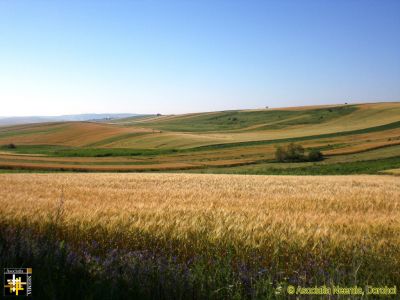 Harvest in Prospect
Keywords: Jun15;scenery