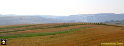 Harvest in Prospect
Keywords: Jun15;scenery