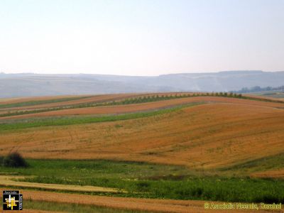 Harvest in Prospect
Keywords: Jun15;scenery