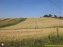 Filename=CIMG0745sw.jpg
Filesize=173KiB
Dimensions=1024x768
Date added=26/Jun/2015 CIMG0745sw.jpg