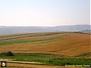 Filename=CIMG0747sw.jpg
Filesize=123KiB
Dimensions=1024x768
Date added=26/Jun/2015 CIMG0747sw.jpg