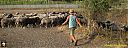 Filename=CIMG0892pw.jpg
Filesize=144KiB
Dimensions=1024x384
Date added=01/Aug/2015 CIMG0892pw.jpg