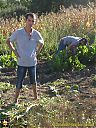 Filename=CIMG0974sw.jpg
Filesize=262KiB
Dimensions=768x1024
Date added=11/Sep/2015 CIMG0974sw.jpg