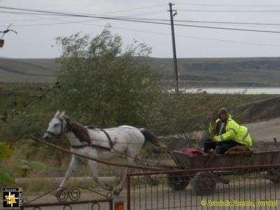 Hi-vis Jacket
Keywords: Oct15;Hi-vis