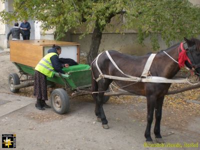 Donated Goods - Local Transport
Keywords: Nov15