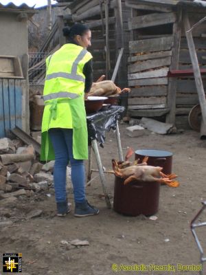 Cooking the Goose
Keywords: Nov15;Hi-vis