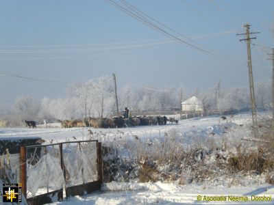 Winter Scene
Keywords: Jan16;Scenes