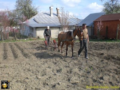 Seeding the Garden with Maize
The small area of the plot and the limited access mean that there is still value in the old ways!
Keywords: Apr16;Casa.Neemia;Crops;Pub1605m;News1701j
