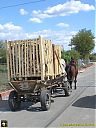 Filename=CIMG1760sw.jpg
Filesize=146KiB
Dimensions=768x1024
Date added=06/May/2016 CIMG1760sw.jpg