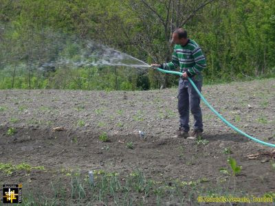 Watering the crops using stored rainwater
Keywords: May16;Casa.Neemia