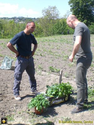 Planting the Vegetable Garden
Keywords: May16