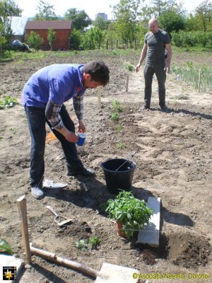 Planting the Vegetable Garden
This type of activity helps the boys to expand their skill-set
Keywords: May16