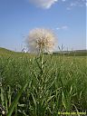 Filename=CIMG1899sw.jpg
Filesize=150KiB
Dimensions=768x1024
Date added=16/Jun/2016 CIMG1899sw.jpg