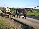 Filename=CIMG1911sw.jpg
Filesize=172KiB
Dimensions=1024x768
Date added=16/Jun/2016 CIMG1911sw.jpg