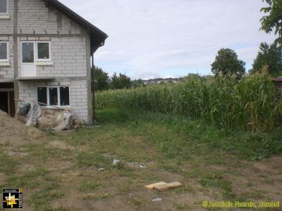 "The corn is as high ..."
Keywords: Jul16;Casa.Neemia