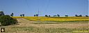 Filename=CIMG1981pw.jpg
Filesize=73KiB
Dimensions=1024x384
Date added=25/Jul/2016 CIMG1981pw.jpg