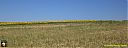 Filename=CIMG1989pw.jpg
Filesize=75KiB
Dimensions=1024x384
Date added=25/Jul/2016 CIMG1989pw.jpg