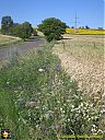Filename=CIMG1990sw.jpg
Filesize=272KiB
Dimensions=768x1024
Date added=25/Jul/2016 CIMG1990sw.jpg