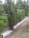 Filename=CIMG2014sw.jpg
Filesize=252KiB
Dimensions=768x1024
Date added=25/Jul/2016 CIMG2014sw.jpg