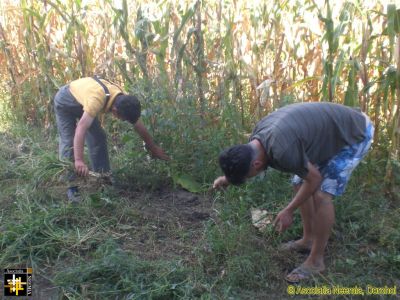 Training New Gardeners
Marian and Marcel get stuck into the summer's bumper crop of weeds.
Keywords: Aug16;Casa.Neemia;pub1609s