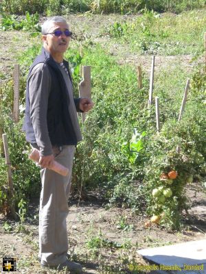 The Husbandman
Laurentiu ties up tomato plants at Casa Neemia
Keywords: Aug16;Casa.Neemia;pub1609s