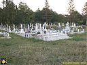 Filename=CIMG2164sw.jpg
Filesize=154KiB
Dimensions=1024x768
Date added=06/Sep/2016 CIMG2164sw.jpg