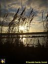 Filename=CIMG2360sw.jpg
Filesize=176KiB
Dimensions=768x1024
Date added=28/Nov/2016 CIMG2360sw.jpg
